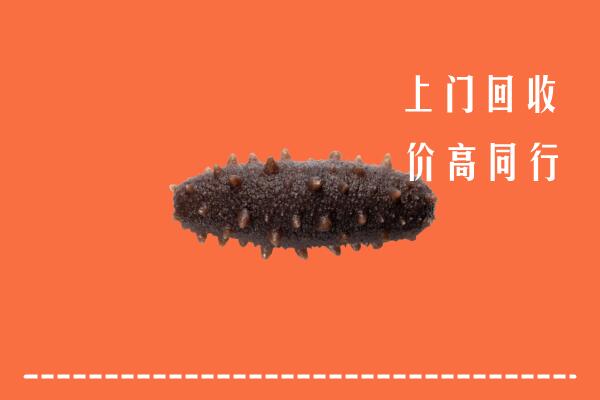 高价求购：孝感回收海参